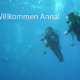 Willkommen Anna